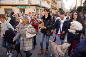 Bendición de animales de San Antonio Abad 2024